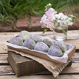 在小小的后院挖呀挖呀挖！ 挖洞寻宝游戏《掘地求财》销量达100万份