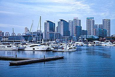 《卡牌生存：奇幻森林》发售日公布 2月28日发售